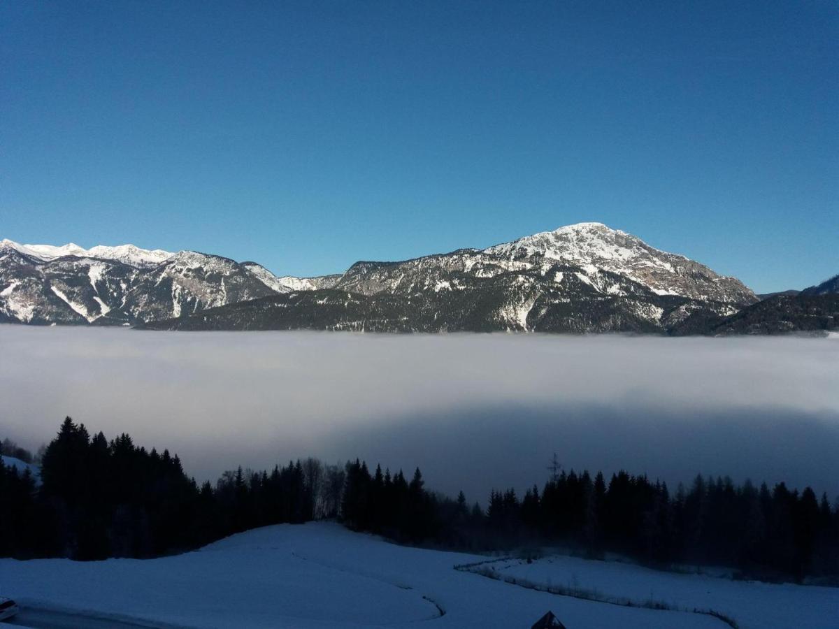 Farm stay Waldherrhof