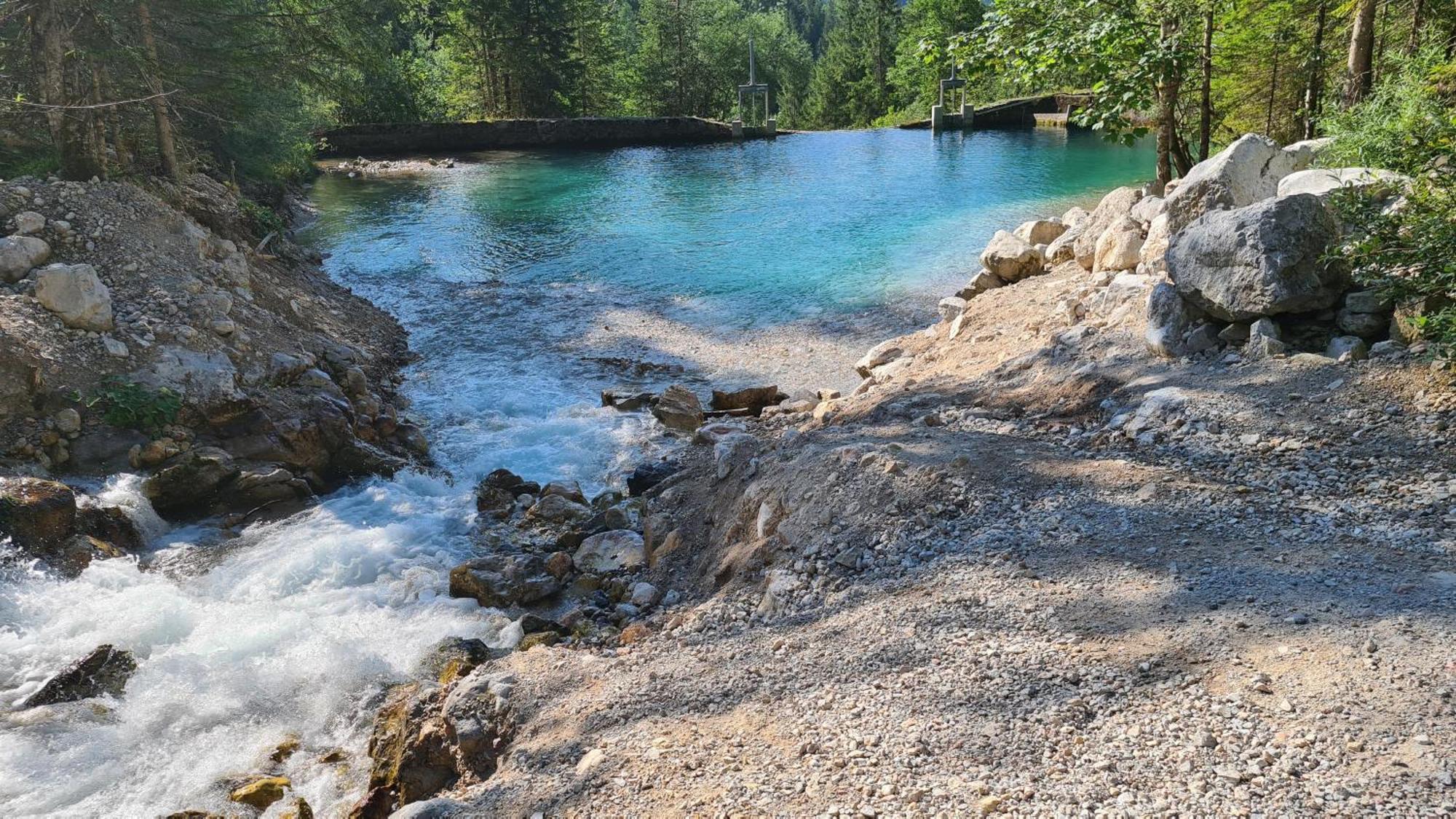 Waldherrhof Farm stay Aich (Styria)