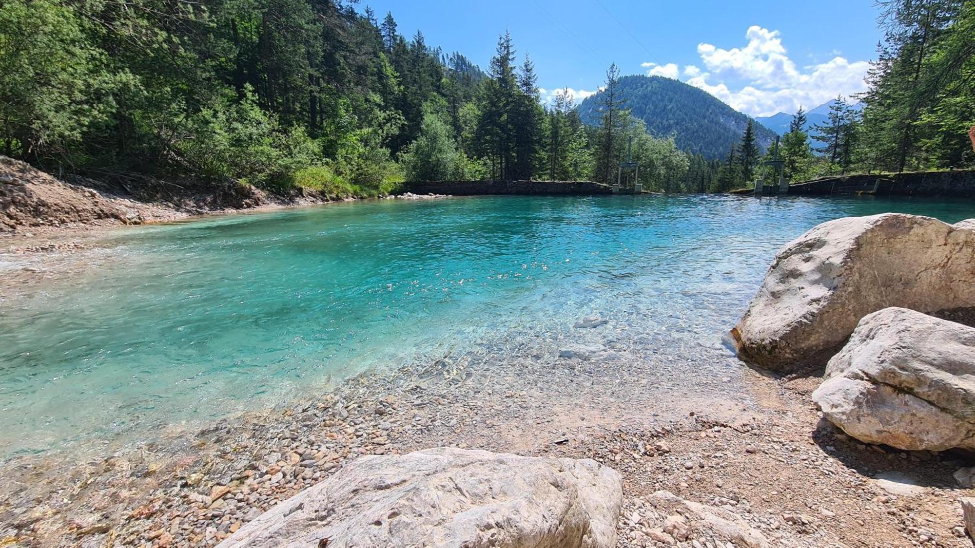 Waldherrhof * Aich (Styria)