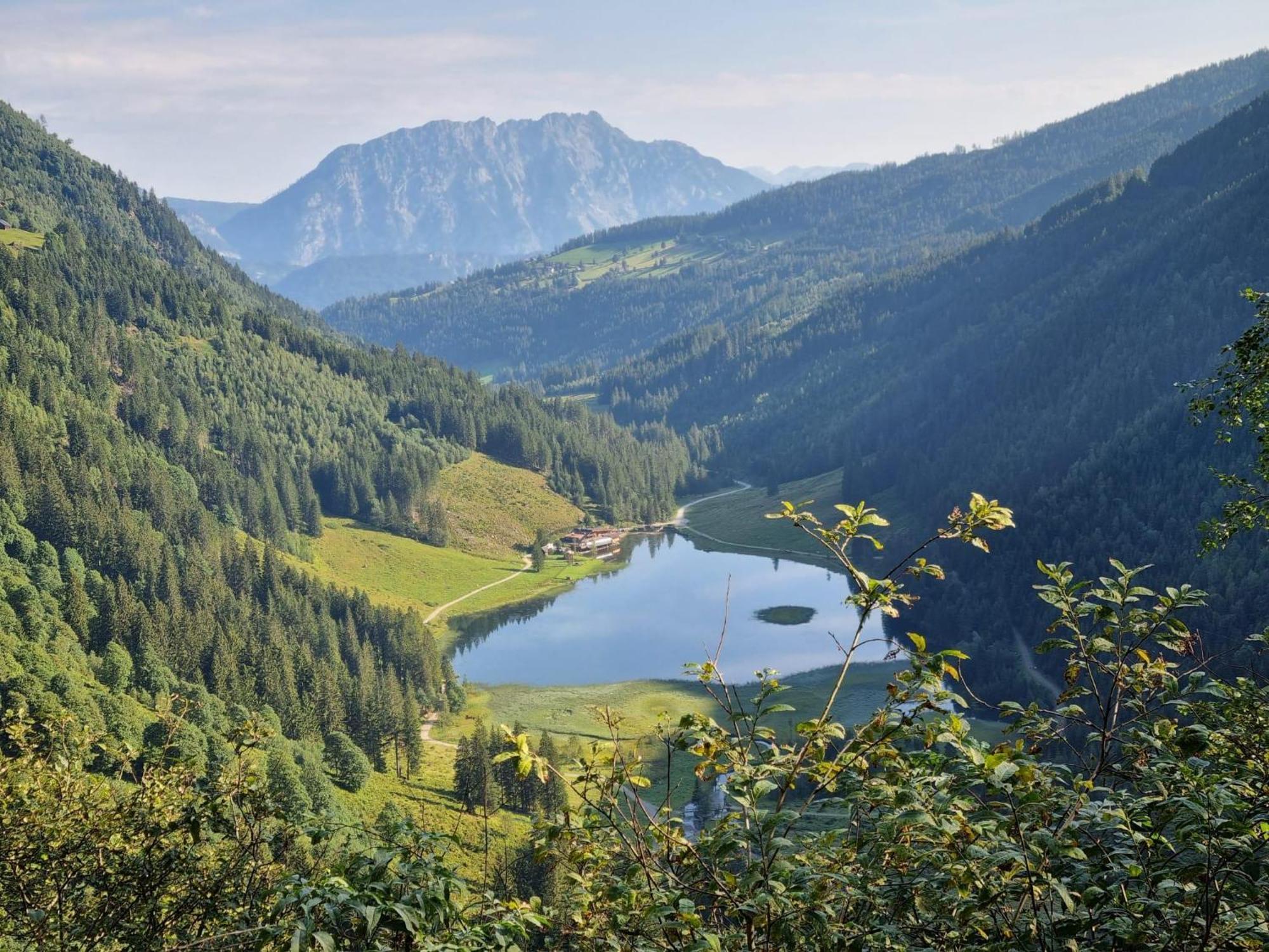Farm stay Waldherrhof Aich (Styria)
